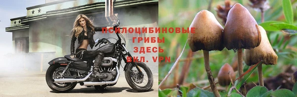 стафф Белокуриха