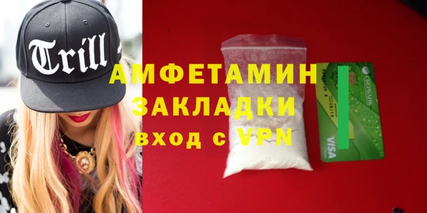 шишки Беломорск