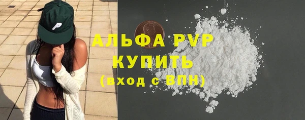 шишки Беломорск