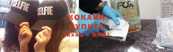 шишки Беломорск