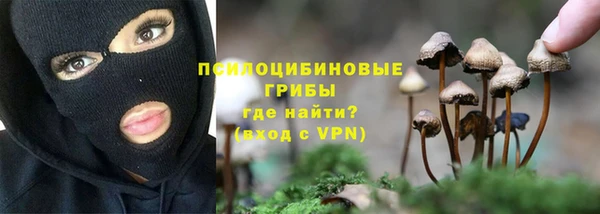 шишки Беломорск