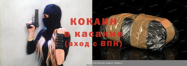 шишки Беломорск