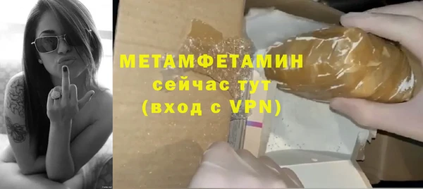 шишки Беломорск