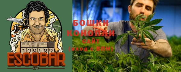 стафф Белокуриха