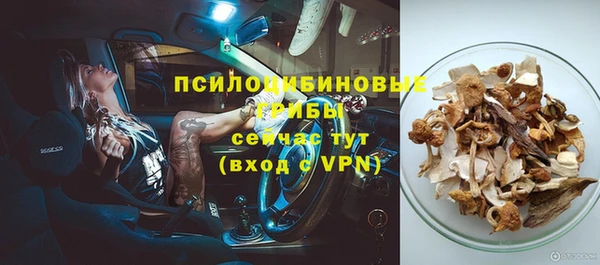 шишки Беломорск