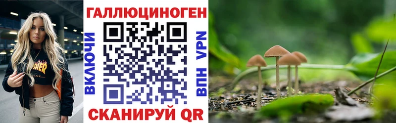 Псилоцибиновые грибы Magic Shrooms  mega онион  Богданович 